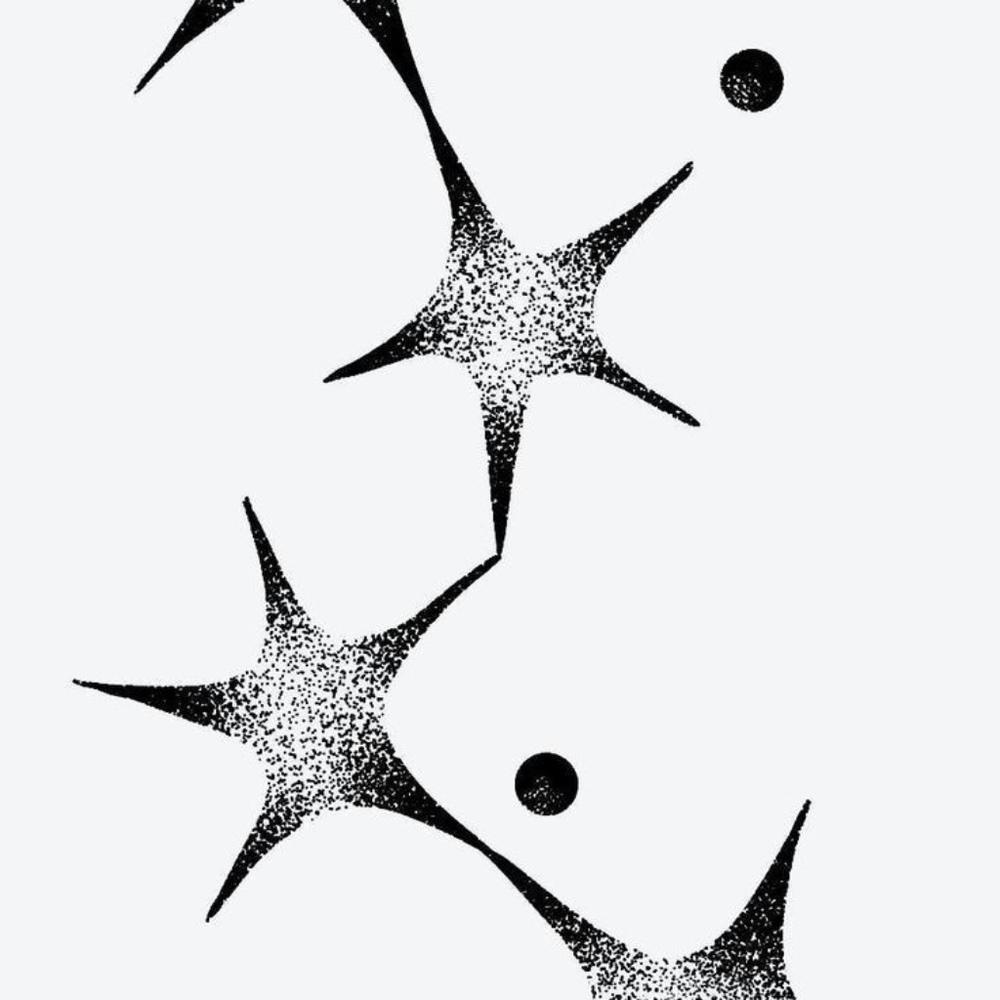 Meet your Posher, Kylie